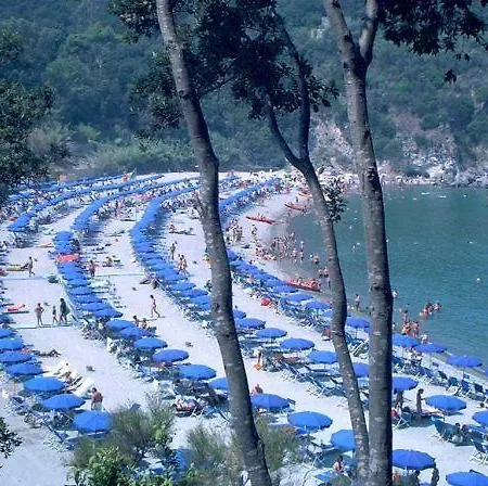 Lacco Ameno Ischia